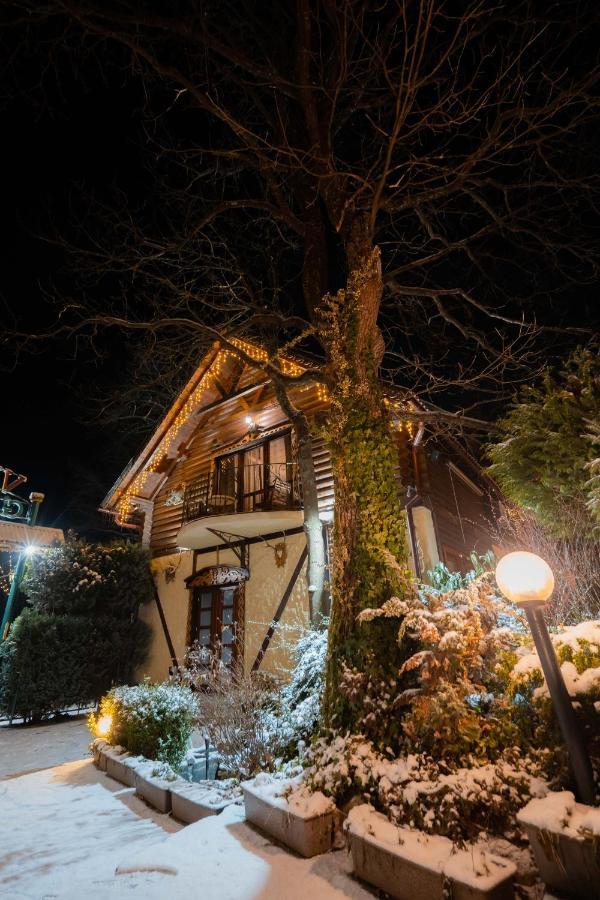 Villa Garden Hotel Solochyn Exterior foto
