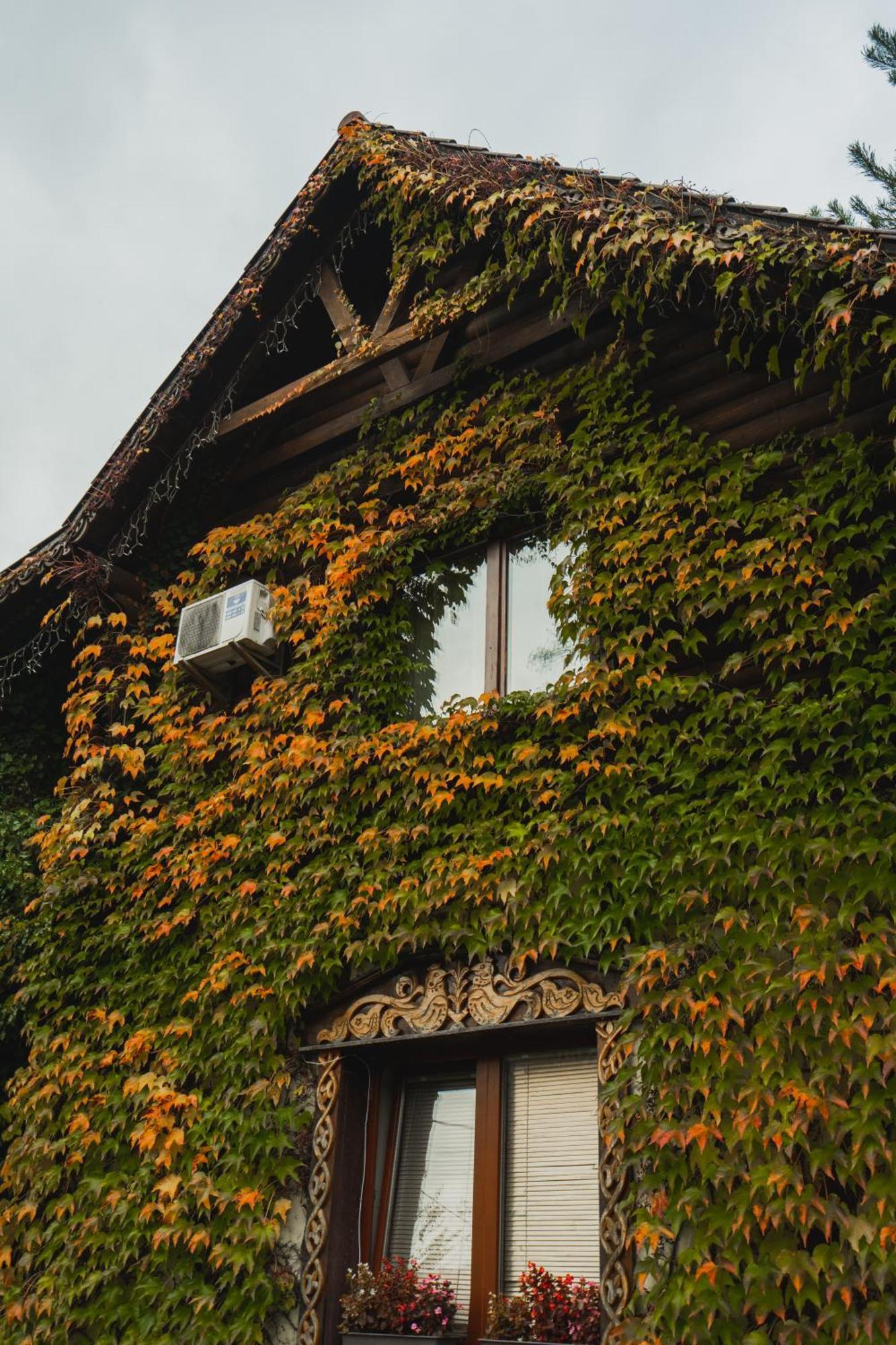 Villa Garden Hotel Solochyn Exterior foto